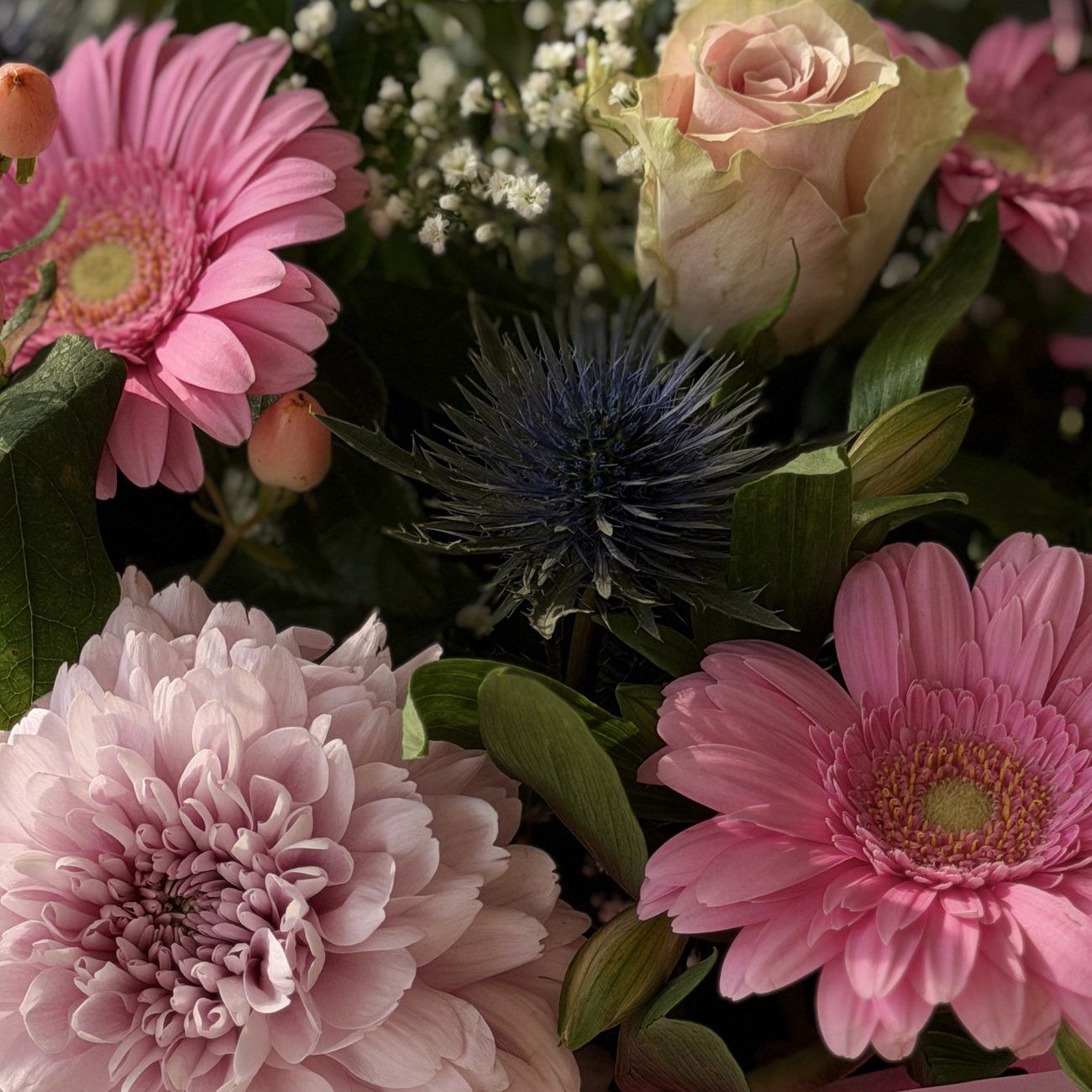 Verse bloemen van dichtbij